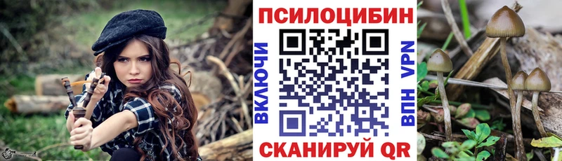 Купить где  Иркутск  Псилоцибиновые грибы Cubensis 